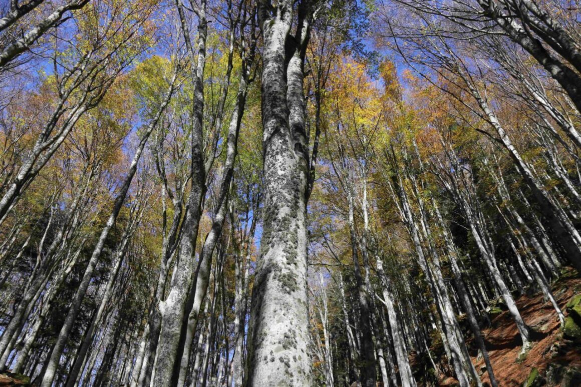 UN BILANCIO DI SOSTENIBILITA’ TRA IMPEGNO SOCIALE, ATTENZIONE VERSO L’AMBIENTE E RISPETTO VERSO LE PERSONE